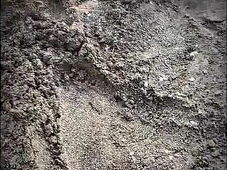 unknown latina sucks my huge cock publicly on beach till cum covered