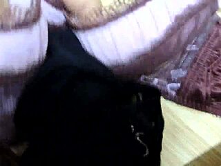 Cumshot Hits Step Sister's Pink Leopard Bra