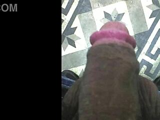 Jades Husband Flashes Her Brazilian Wife Body In Public Spots