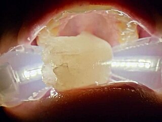 Hey, you see this deranged girl rebel rhyder drowning in frozen cum bukkake up close?