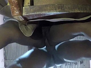 No-strings family fuck rocks harder 😈 full vid on Sheer!