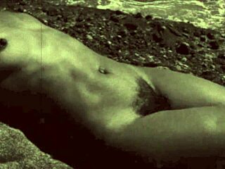 Vintage nudist beach beavers flash hairy pussies outdoor top twenty