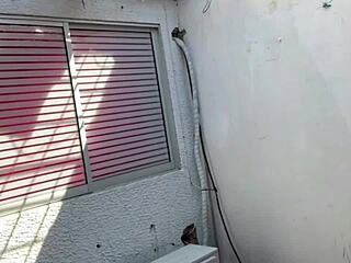hot morning skinny colombian stepsis in panties begs tanned old guy to fuck her full story