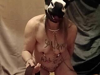french housewife esclave f humiliated with godage anal and souillure in bdsm pov