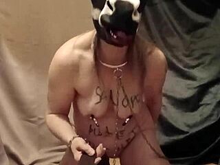 french housewife esclave f humiliated with godage anal and souillure in bdsm pov