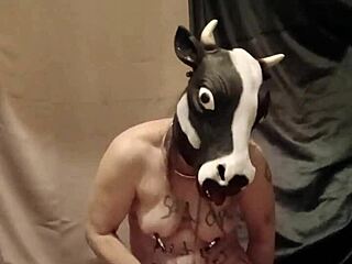 french housewife esclave f humiliated with godage anal and souillure in bdsm pov
