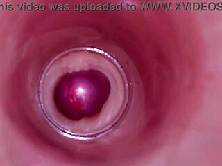 pump that cum deep inside me, bbw teen begs in pov creampie with internal view