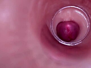 pump that cum deep inside me, bbw teen begs in pov creampie with internal view
