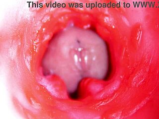camera inside pussy almost cum in pussy best internal asmr