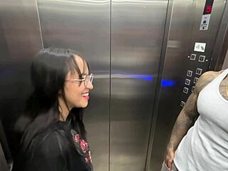 hot neighbor casting turns into elevator sex