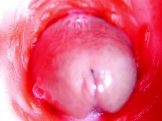 camera inside pussy almost cum in pussy best internal asmr