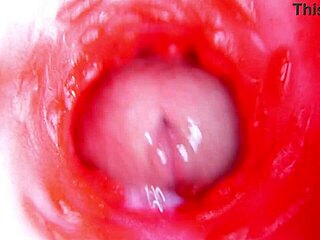 camera inside pussy almost cum in pussy best internal asmr