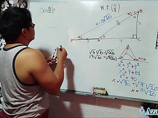 19 trigonometria sexual mitad angulo tu x