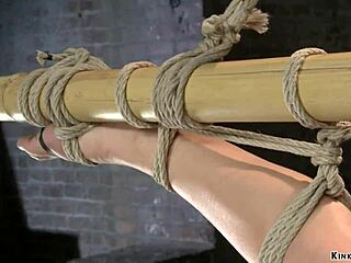 Lesbian slave is whipped on hogtie