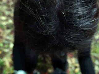 Donna Leads You To Forest For Handjob