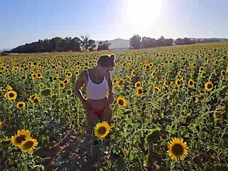 damiana flashes naked in the sunflower field