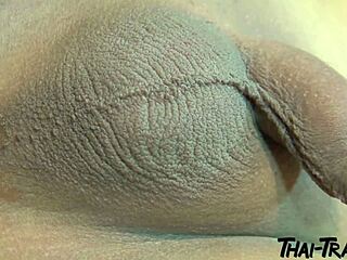Captivating asian transsexual is caressing her penis