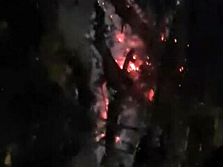 lick my pussy in woods by fire while friends smoke