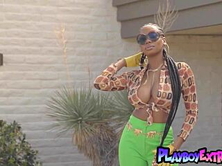 glamorous ebony teen reveals her hairy pussy