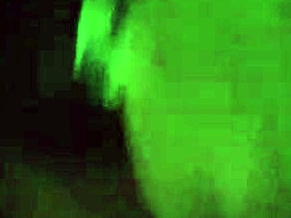 Cock session from 20161106
