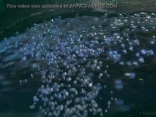 honey erotic art by paul black