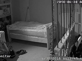 A New Life in the Cage for Slave Slug