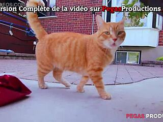 Upptäck Pegas Productions roliga bloopers från Quebec med kanadensiska och franska olyckor