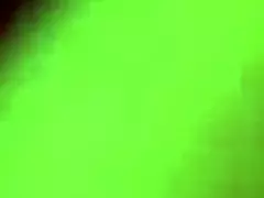 social club with dancing and striptease