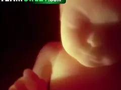 Watch these sluts ride for the team