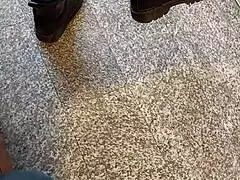 Termino follando con chica infiel que conocí en centro comercial audio en español