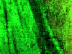 we're doing a naked photo shoot with this curvy beautiful amateur girl