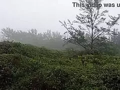 This Brazilian amateur couple gets wild on the outdoor trail with monster cock pounding and cum on her face