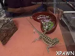 The exhibitionist amateur eagerly sucked on the hard cock, bending over for intense doggystyle fucking.