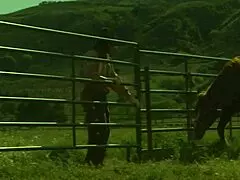 brooke ballentyne still has her riding chaps on as she gets creampied in doggystyle anal with monster cock facial and riding