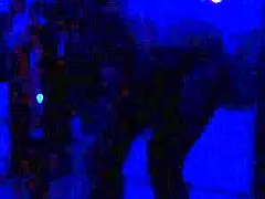 EBONY babe STRIPS LINGERIE outdoors, RIPS clothes for public tease