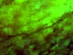 Rough Clit Rubbing Reveals Juicy Pussy Lips