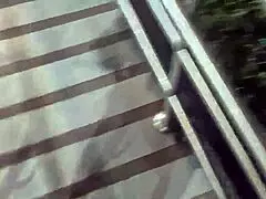 Lesbian tits out flashing in public fast food spot