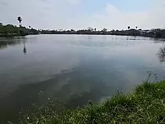 latina beauty by the lake strokes cock and sucks for a hot reward