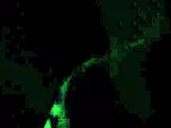 Huge Cock Deepthroat Turns into Rough Cheating Fuck Session