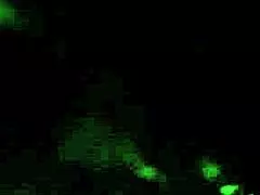 Huge Cock Deepthroat Turns into Rough Cheating Fuck Session