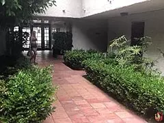 Hot blonde Nova Cane slammed doggystyle by Rome Major's monster cock!