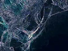 warning club lights rimming bj asshole lick dancing night ass worship