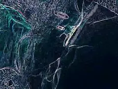 warning club lights rimming bj asshole lick dancing night ass worship