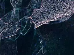 warning club lights rimming bj asshole lick dancing night ass worship