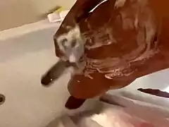 Woman Moves from Shower Bathing to Street Adventure Quick