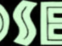 Fat Ass Ebony BBW in Fishnets Rides Huge Black Cock