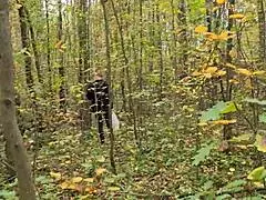 Crazy maniac fucks girl hard in woods Loren Strawberry